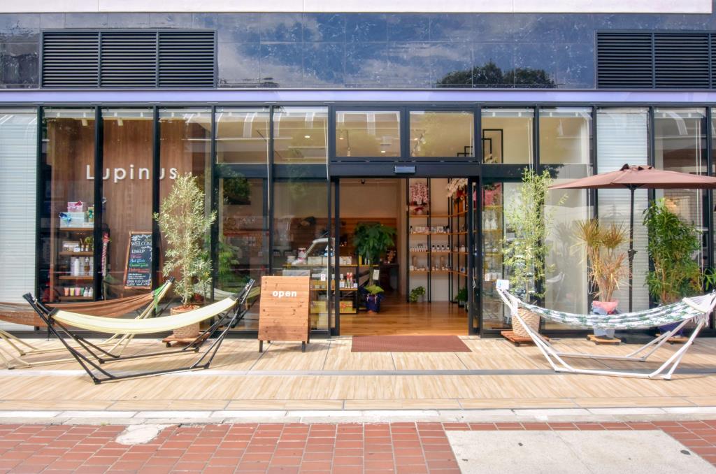 Lupinus 甲府市 ショップ 1