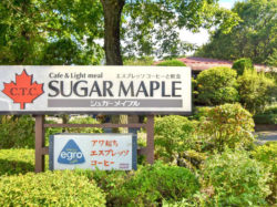 シュガーメイプル 南都留郡山中湖村 カフェ/喫茶店 4