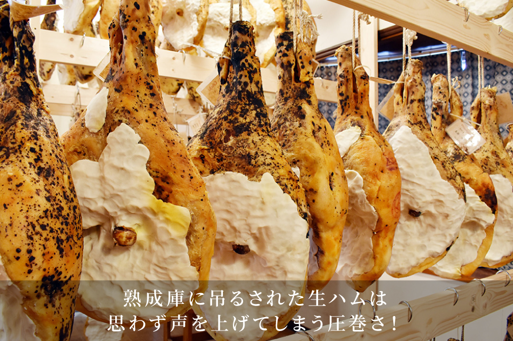 パスタと肴 MoRimoToのフォトギャラリー2