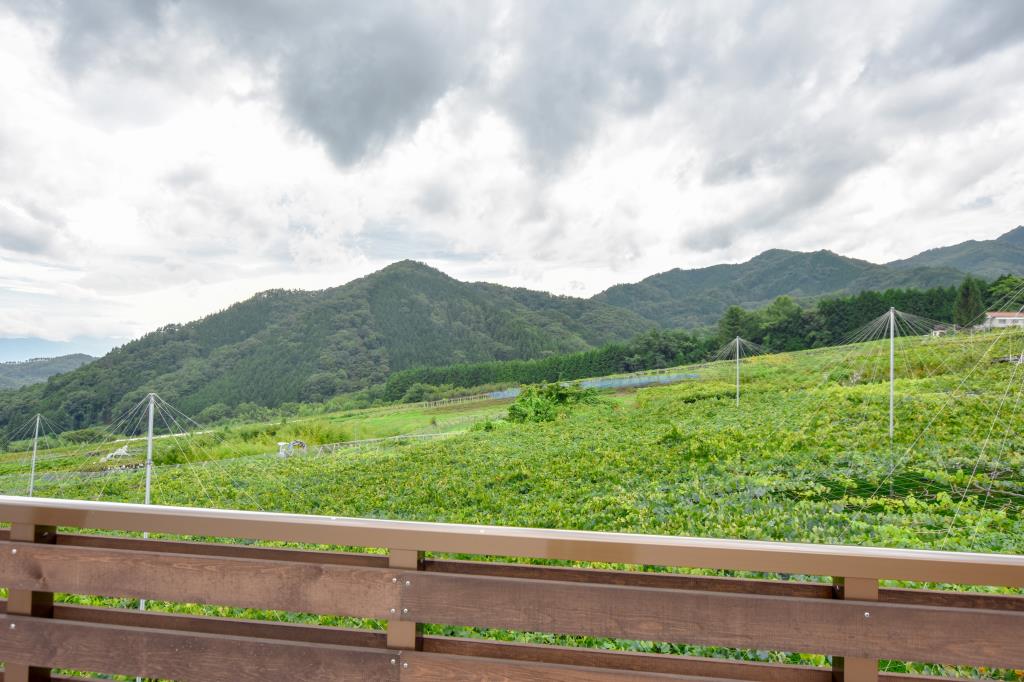 株式会社 Cantina Hiro 山梨市 遊ぶ学 5