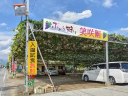 美咲園