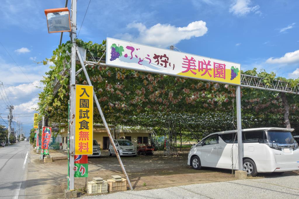 美咲園 笛吹市 観光農園 フルーツ狩り 5