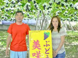 美咲園 笛吹市 観光農園 フルーツ狩り 4