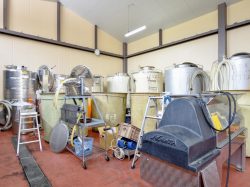 （有）マルサン葡萄酒/若尾果樹園 甲州市 遊ぶ学ぶ 5
