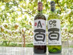 （有）マルサン葡萄酒/若尾果樹園 甲州市 遊ぶ学ぶ 4