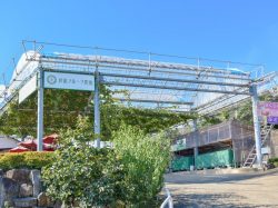 萩原フルーツ農園 山梨市 観光農園 フルーツ狩り 5