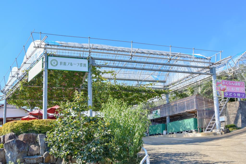 萩原フルーツ農園