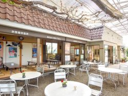 泰果園 御坂町 観光農園 フルーツ狩り 2