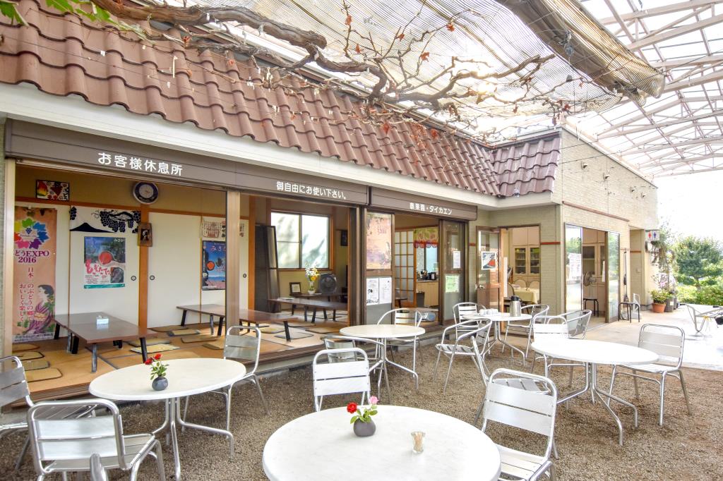 泰果園 御坂町 観光農園 フルーツ狩り 2