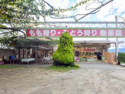 泰果園