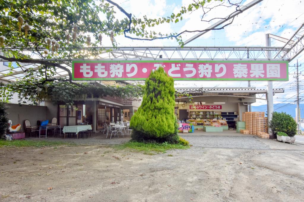 泰果園 御坂町 観光農園 フルーツ狩り 1