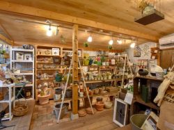 Gardener’s drawer 甲府市 ガーデニング 3