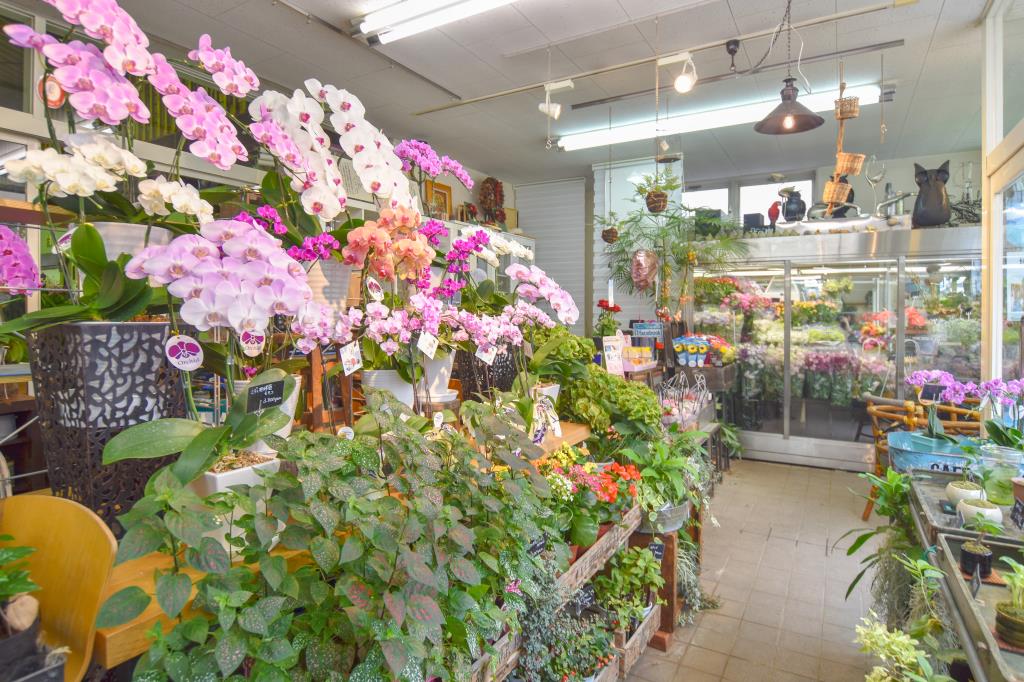花の樹 石和町 ショップ 2