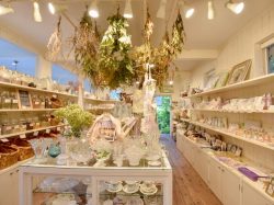 HERB STAND 北杜市 ショップ 2