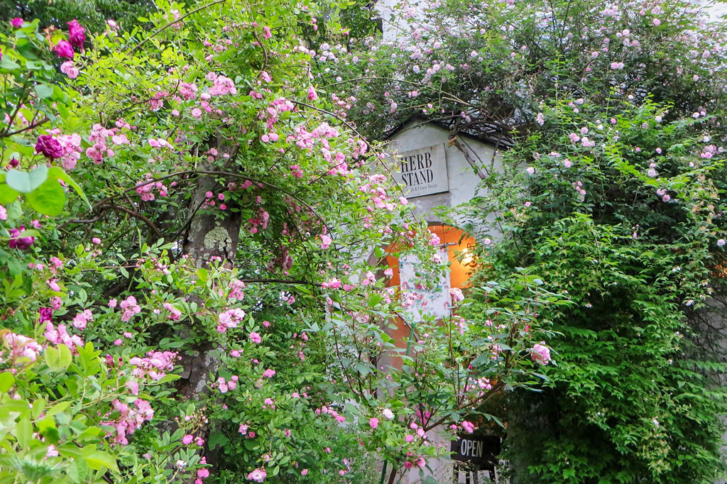 HERB STAND 北杜市 ショップ 1