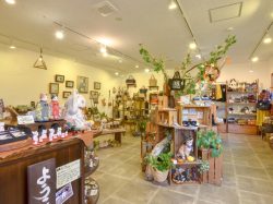 猫グッズ専門店 ル・シャ・デ・ボワ 北杜市 ファッション 2