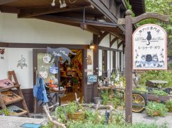 猫グッズ専門店 ル・シャ・デ・ボワ