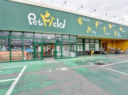 ペットフィールド新平和通り店