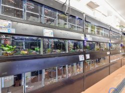 ペットフィールド新平和通り店 甲府市 ショップ 5