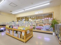 ペットフィールド新平和通り店 甲府市 ショップ 4