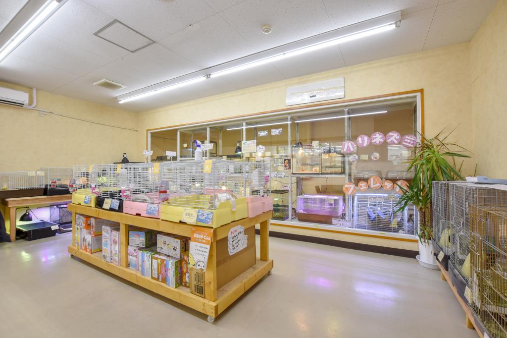 ペットフィールド新平和通り店 甲府市 ショップ 4