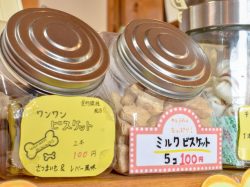 フェアーヘブン 北杜市 ペット 5
