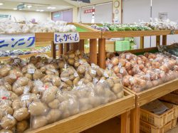さかいがわ農産物直売所 笛吹市 ショップ 3