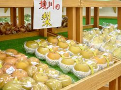 さかいがわ農産物直売所 笛吹市 ショップ 4