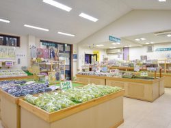 さかいがわ農産物直売所 笛吹市 ショップ 2