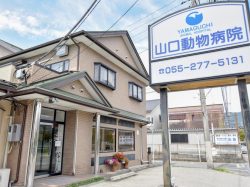 山口動物病院