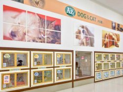 ペットショップAZ 富士河口湖店 富士河口湖町 ペット 3