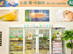 ペットショップAZ 富士河口湖店 富士河口湖町 ペット 4