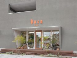 Duca hair