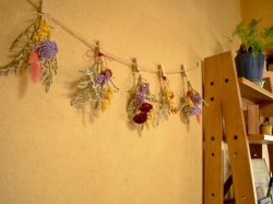 eyelash salon love 西桂町 ビューティー 5