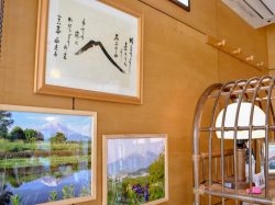Kasai 富士吉田市 ビューティー 5
