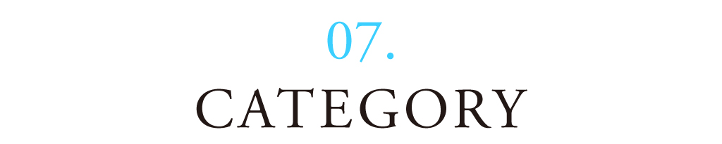 07 CATEGORY