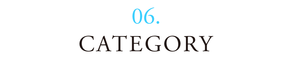 07 CATEGORY