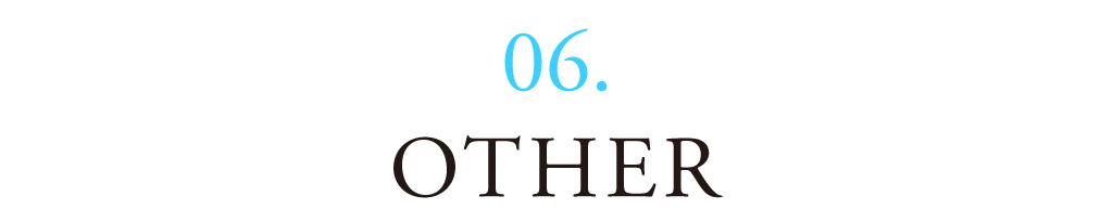06 OTHER