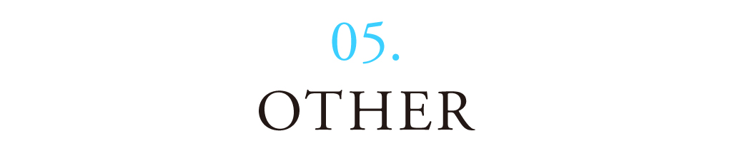 06 OTHER