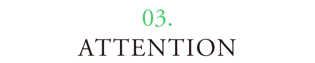 03 ATTENTION
