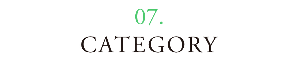07 CATEGORY