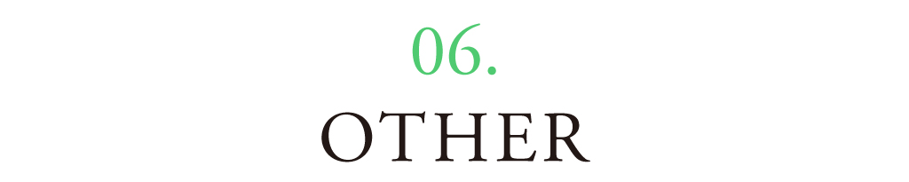 06 OTHER