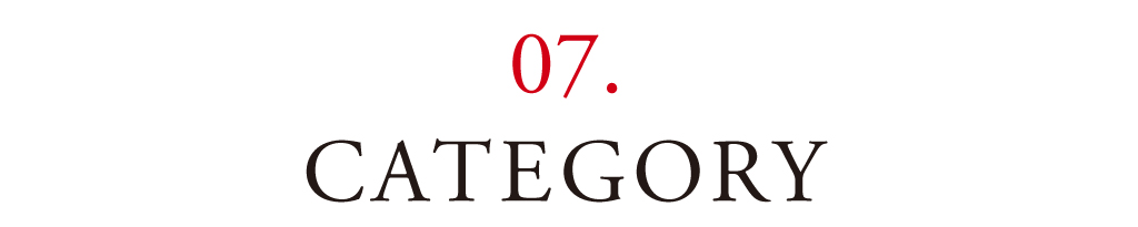 07 CATEGORY