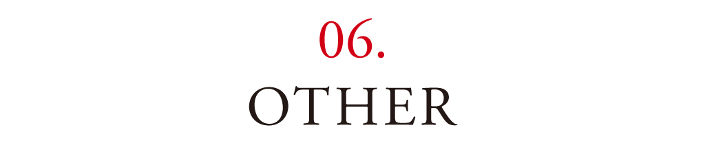 06 OTHER