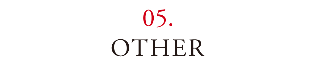 06 OTHER