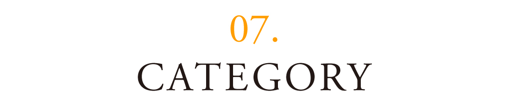 07 CATEGORY