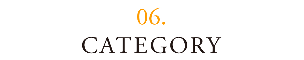 07 CATEGORY