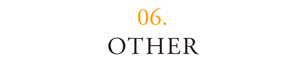 06 OTHER