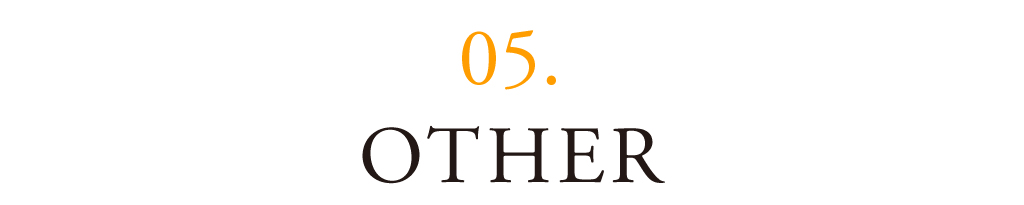 06 OTHER