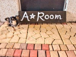 eyelash salon A☆Room